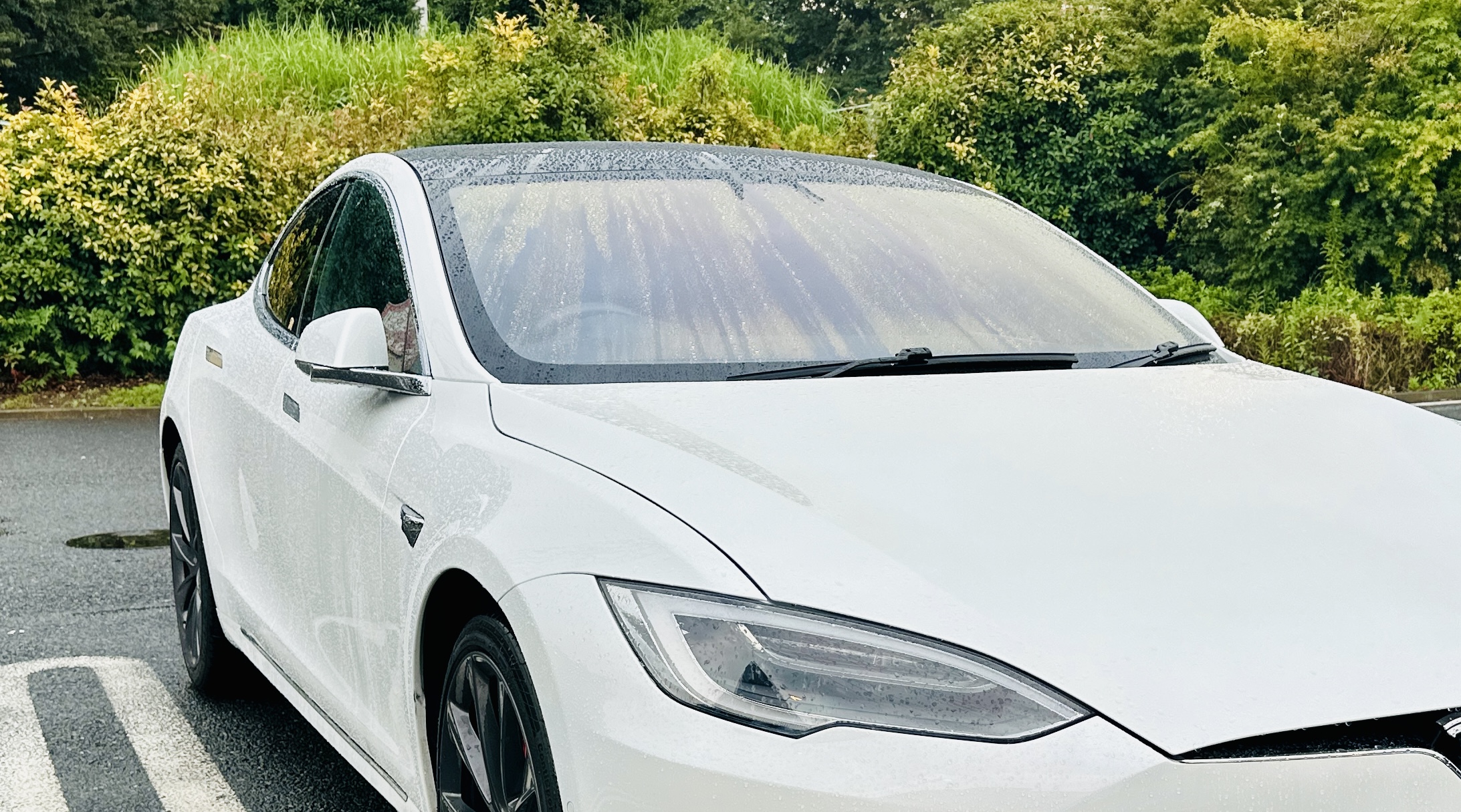 Model 3のフロント周辺プロテクションフィルム